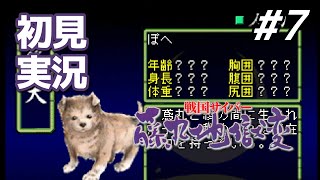 【初見】たぶん騙されてるよ！ 早く気づいて！！｜戦国サイバー 藤丸地獄変 #7