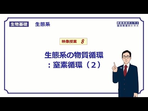 窒素循環に影響を与える「マリンスノー」