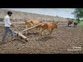 Kalya Matit Matit Tifan Chalte