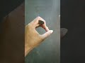 Coin Magic Trick REVEALED Magic Tricks Shorts Viral Trending Ytshots