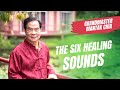 The Six Healing Sounds: what healthy organs sound like? Taoist practice with Grandmaster Mantak Chia
