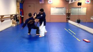 Hapkido Knife Defense 42