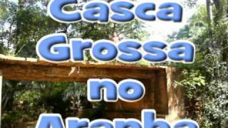 preview picture of video 'Casca Grossa no Aranha.mpg www.estilomaia.com'