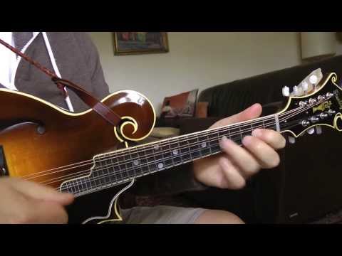 Brian Ray - Old Mountaineer - Stanley Mandolin #54