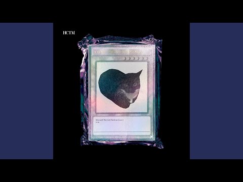 Maxwell the Cat (Techno Flip) (Cover)