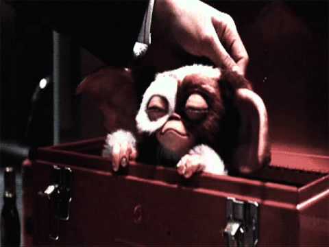 Gizmo - Singing