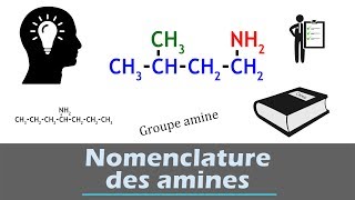 Nomenclature des amines - chimie organique