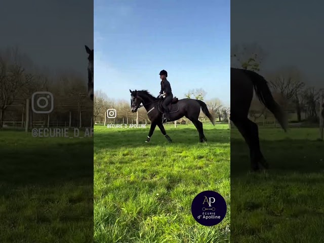 AQPS 4 ans locomotion plaisante mod&egrave;le plaisant