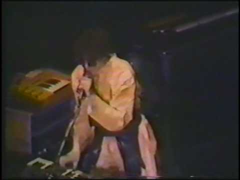 DEVO - Pink Pussycat - live 1978