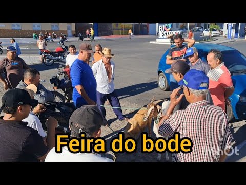 Feira do bode e do gado em desterro Paraíba 👍🤝🤣🎉