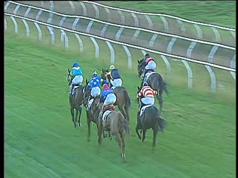 Galoppo 15/11/2017 - 4ª corsa