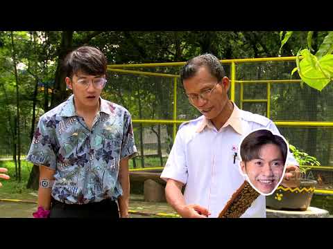 ANDAI - Bianca Liza Ditantang Memanen Madu (12/5/19) Part 1