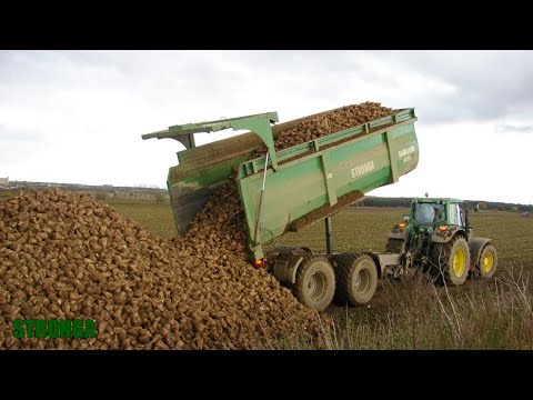 Sugar Beet Harvest – Stronga BulkLoada, John Deere, Fendt, Case & Holmer