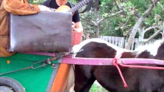 Perro Callejero: Perro Callejero (extraído de Teina Mía)