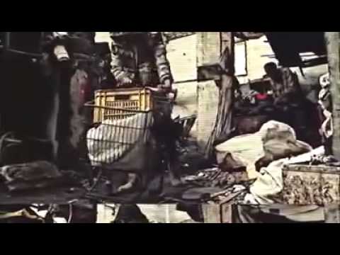 New BGB X Soldjvt Bevts X TrillGvng   Weird As Fx 2014