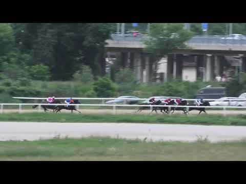 Trka "86 Trail Stakes" 26.05.2019 First Thought - Đorđe Perović