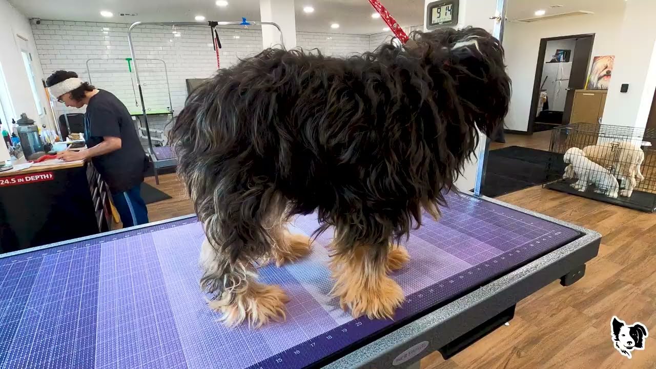 WORST I'VE SEEN YET!