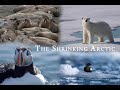 The Shrinking Arctic