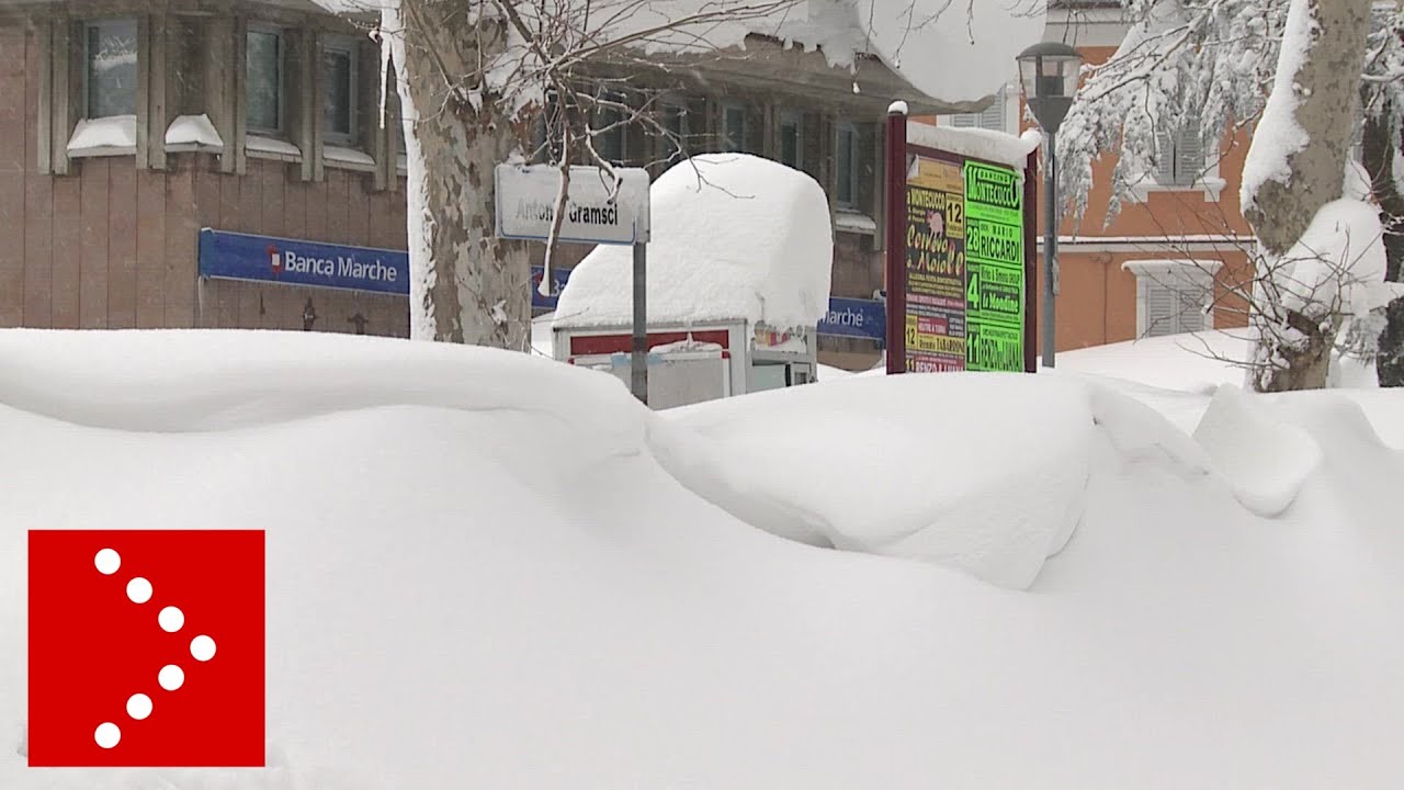 youtube video id=M2JZeSBled0