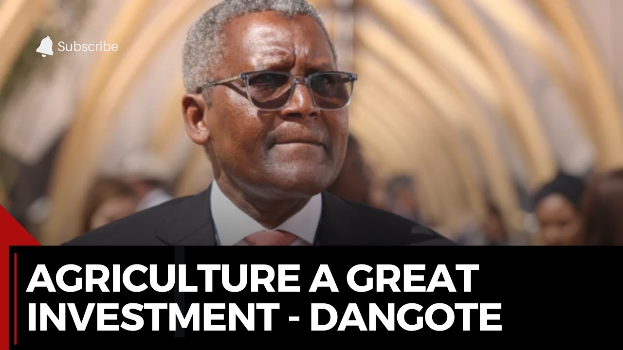 #UNGA79: ''One Of The Greatest Form Of Investments Is Agriculture'' - Aliko Dangote