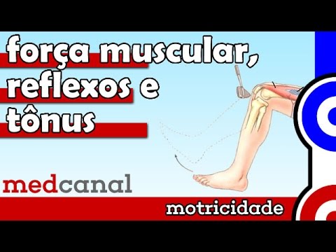 Piccoli dossi intorno al pene Molto buoni prezzo scende patogeno femminili