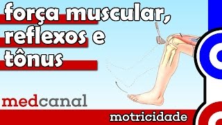 Força Muscular, Reflexos e Tônus | MOTRICIDADE