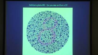 6. Adaptation and color