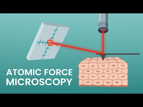 An introduction to atomic force microscopy