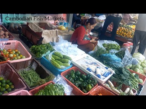 Countryside Fish Market | Daily Morning Buying Food | Cambodian Fish Markets