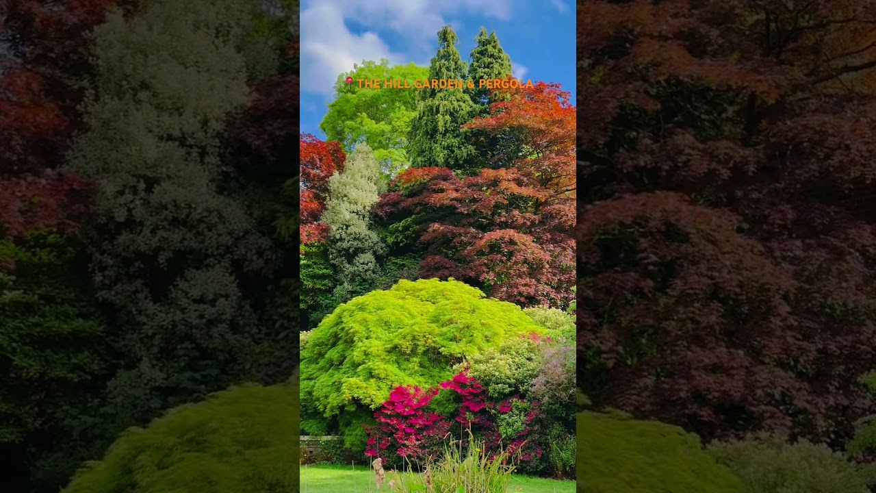 YouTube Short thumbnail