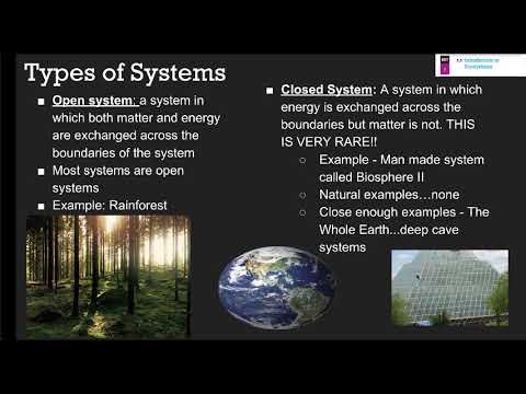 APES 1A Notes - Types of Systems & Feedback