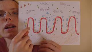 Die Bedeutung der Darmflora/The importance of the gut flora