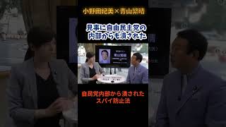 自民党内部から潰されたスパイ防止法（小野田紀美×青山繫晴）