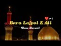 Bara lajpal Ali #Slow & Reverb #Ali waly qasida karbala #trendingviral #islamicstudio  🎙️#viral