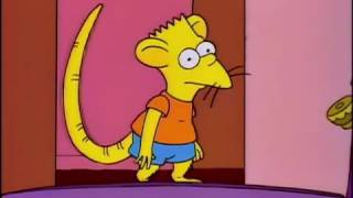 The Simpsons - Rat Boy