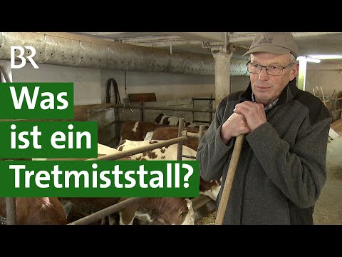 , title : 'Rinder auf Stroh: Was ist ein Tretmiststall? | Unser Land | BR'