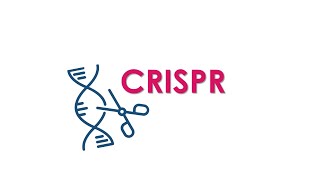 O que é CRISPR? - em menos de 20 minutos