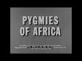 PYGMIES OF AFRICA 1939 MBUTI PEOPLE CENTRAL AFRICA CONGO PYGMY DOCUMENTARY 66014