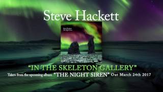 STEVE HACKETT – In The Skeleton Gallery (Album track)