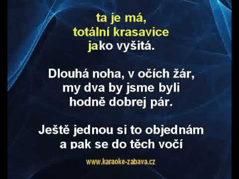 Veselka - Žlutý pes Karaoke tip