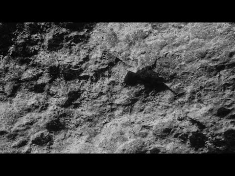 Video thumbnail for Low Threshold