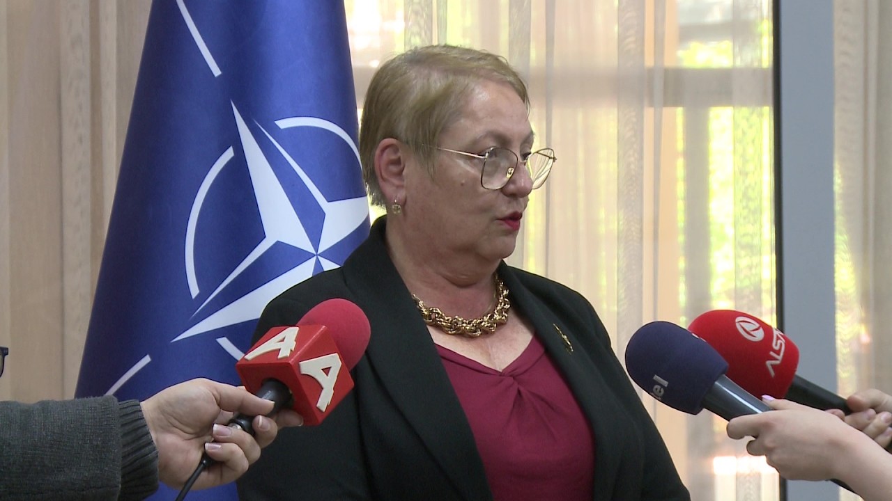 Јаневска: Низ неправилности регистрирани кај двете дипломи на студент од Славјански универзитет