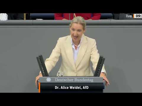 Schlacht im Bundestag 🇩🇪 | Alice Weidel (AfD) darf nicht mehr reden! AFD AM ENDE?