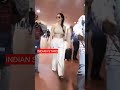 Disha Patani Hot Photoshoot Dishapatani Pic Photography Photo Short Hotgirl Hotvideos Pics