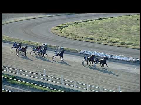 Trotto 26/07/2020 - 1ª prova di qualifica