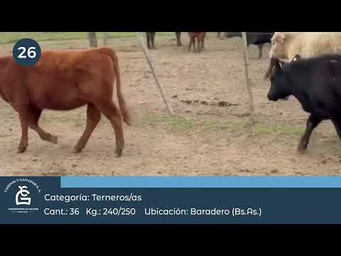Lote M Y H - Baradero  Bs As
