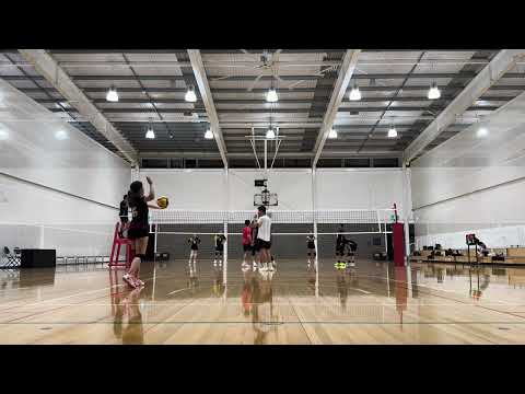 perry park | thickcats vs paw form