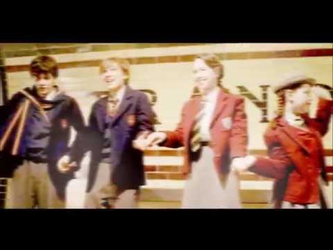 happy like a fool; narnia cast