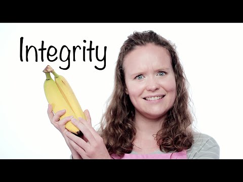 An Object Lesson on Integrity
