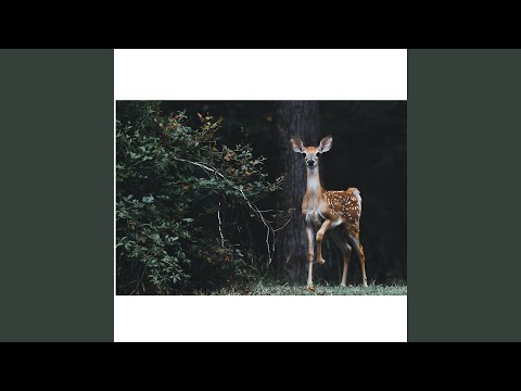 كما انا وليس لي